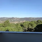 Joncs Costabravasi