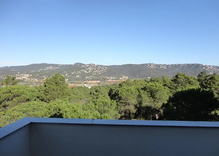 Joncs Costabravasi