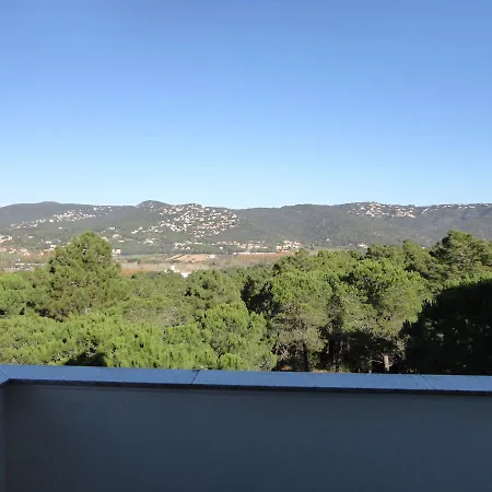 Joncs Costabravasi
